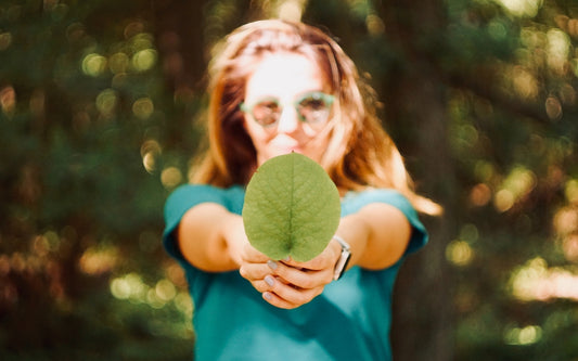 5 Easy Ways to Incorporate Eco-Friendly Practices at Home